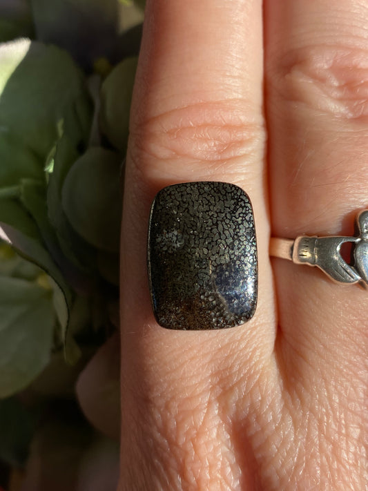 Pyritised Plesiosaur Bone