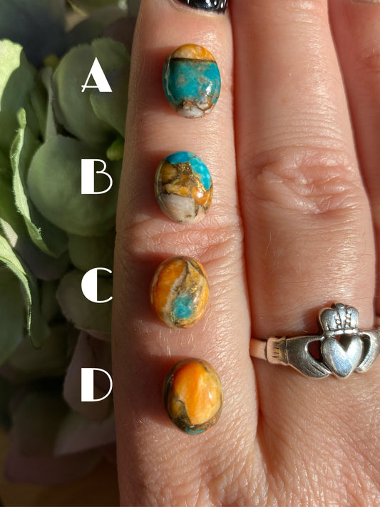 Spiny Oyster Turquoise - Petite