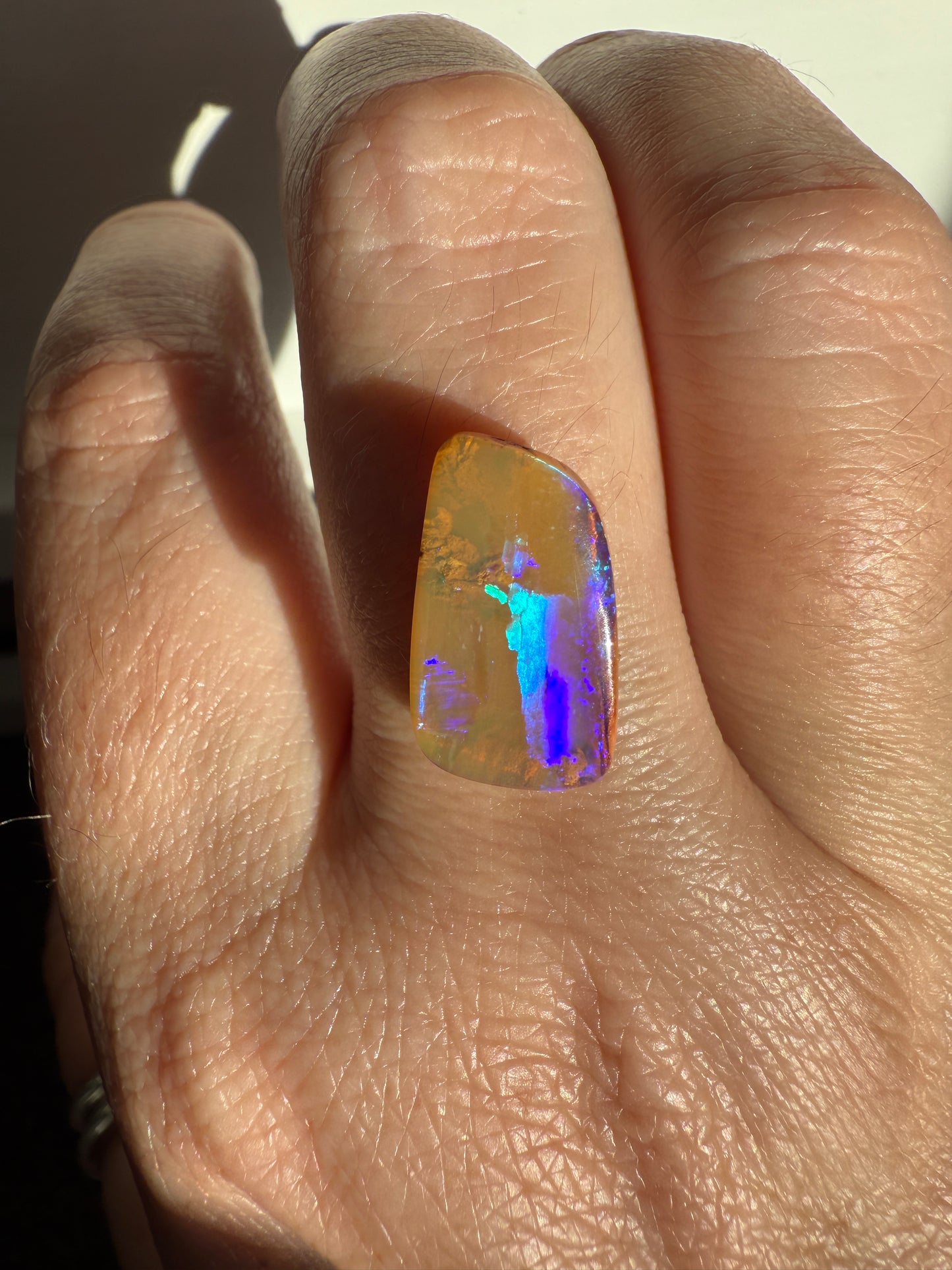 Violet Peeper