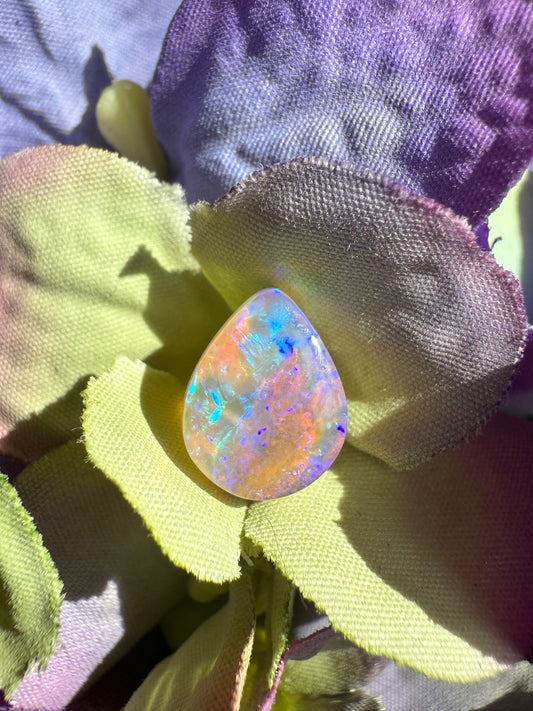 Phoenix Teardrop