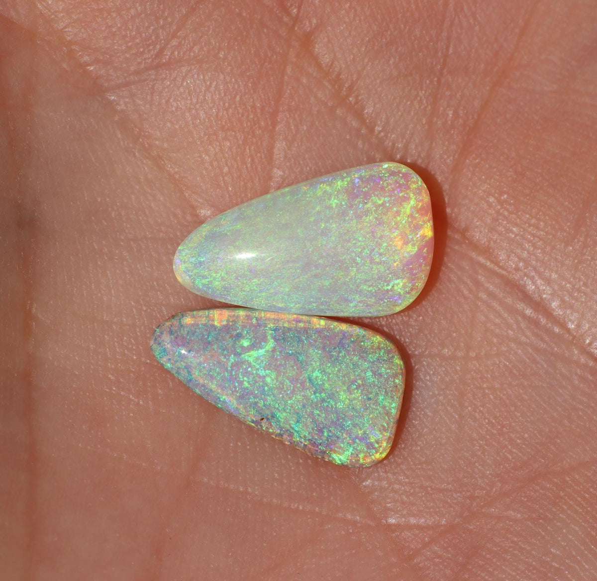Australian Pipe Opal Pair for Custom earrings