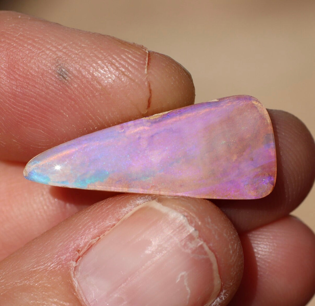 Australian Pipe Opal for Custom