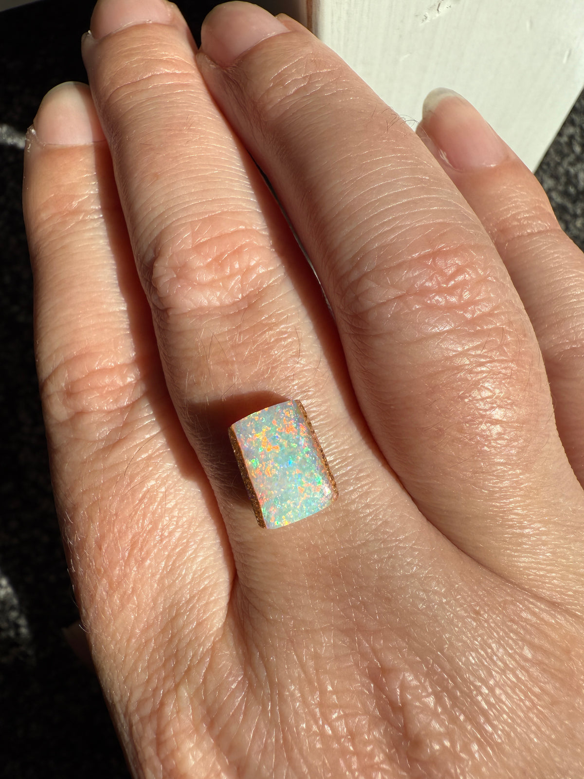 Australian Pipe Opal for Custom