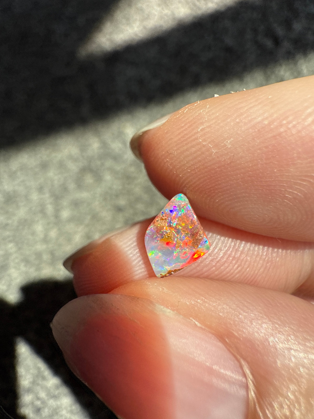 Australian Pipe Opal for Custom
