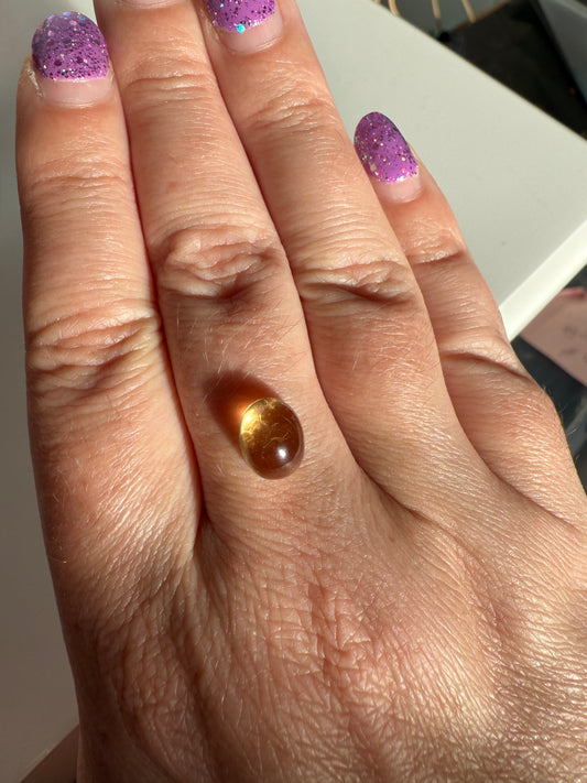 Mini Baltic Amber